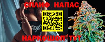 молекула духа Краснодар
