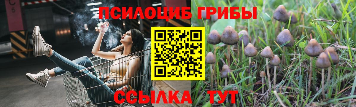 Псилоцибиновые грибы Magic Shrooms  Вход с VPN  Касимов 
